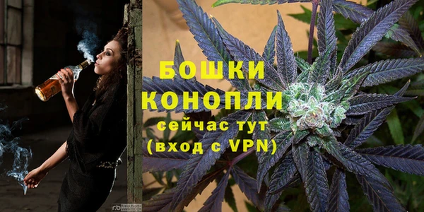 метадон Алексин